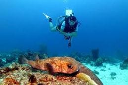 Curaçao vakantie duiken