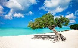 Curaçao vakantie natuur